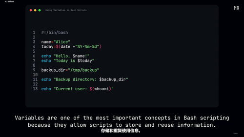Linux命令行入门到Bash脚本实战 (英文课程中文字幕)