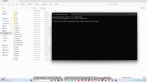 掌握vcpkg:微软C与C++包管理器完全指南 (英文课程中文字幕)