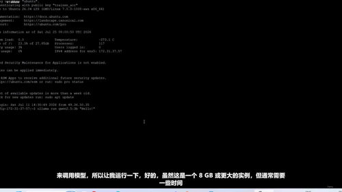 自建大语言模型与智能体：从云端部署到Agent实战 (英文课程中文字幕)