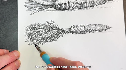 蘸水笔入门:从零开始掌握钢笔墨水画的传统魅力 (英文课程中文字幕)
