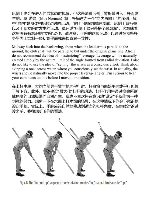 智慧高尔夫挥杆 托德·格雷夫斯 (中英对照电子书)
