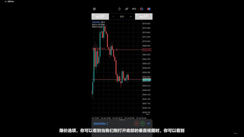 职业交易高手必修课:黄金策略精讲 (英文课程中文字幕)
