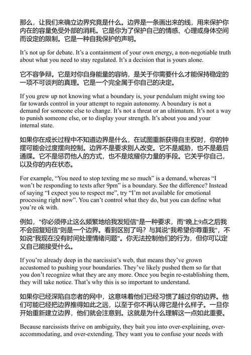 大脑与世界屏障 自恋型虐待康复指南 内特·迈尔斯 (中英对照电子书)