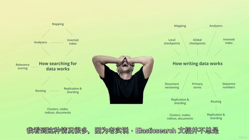 [中字] Elasticsearch 完全实战指南（中文字幕