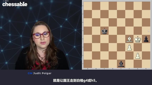 [中文配音]朱迪特·波尔加残局精讲