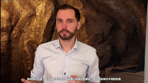 人工智能实战：技术从业者的实用AI技能课 (英文课程中文字幕)
