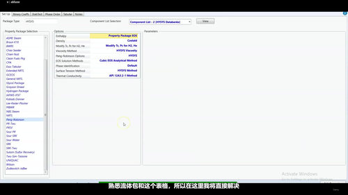 石油炼化模拟认证精讲：HYSYS大师用户考试实战解析 (英文课程中文字幕)