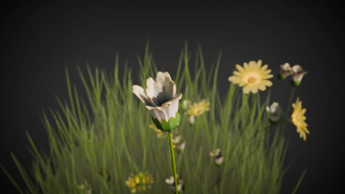 几何节点造花海：从零搭建程序化三维场景 (英文课程中文字幕)