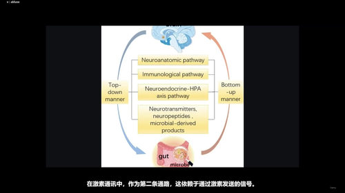 肠脑轴入门指南 (英文课程中文字幕)