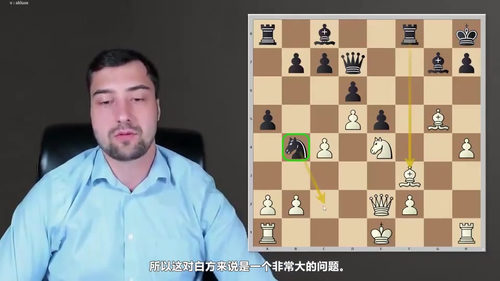 [中文配音]兹洛特尼克中局手册