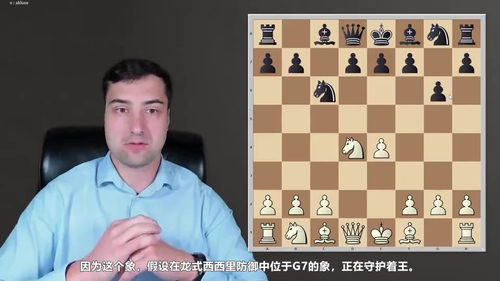 [中文配音]兹洛特尼克中局手册