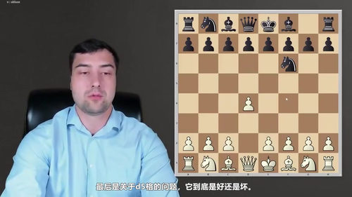 [中文配音]兹洛特尼克中局手册