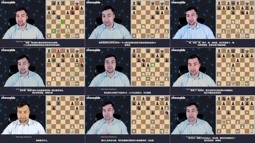 [中文配音]斯维尔茨国际象棋 1.d4 开局体系（第一部分）