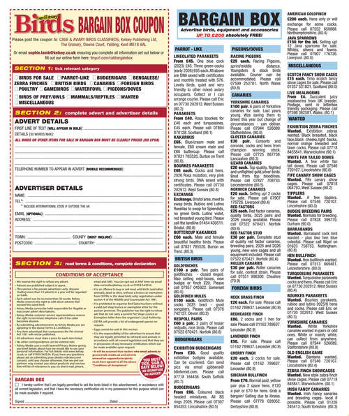 笼鸟与鸟舍杂志 2026年7月15日刊 (英文期刊)