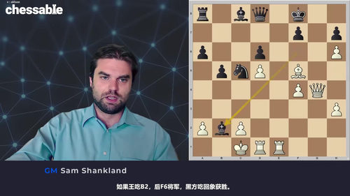 尚克兰德国际象棋计算训练教程 (英文课程中文字幕)