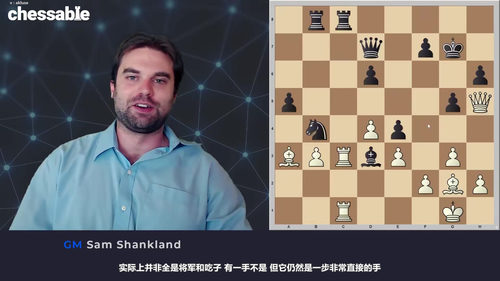尚克兰德国际象棋计算训练教程 (英文课程中文字幕)