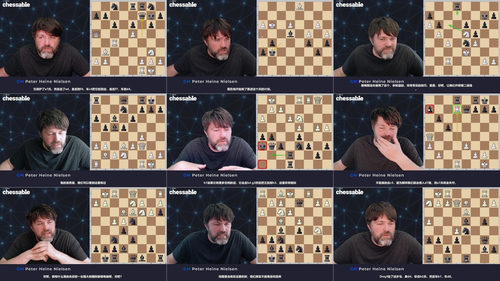 局面弈法进阶:跟GM彼得·海涅·尼尔森练就国际象棋位置战直觉 (英文课程中文字幕)