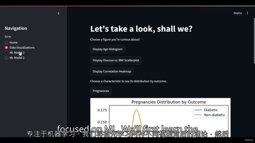 Python+Streamlit糖尿病分