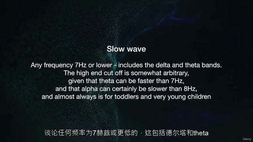 原始脑电图分析(第二部分)课程(中文字幕英文视频教程)