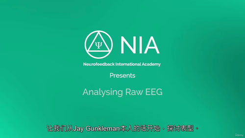原始脑电图分析（第二部分）课程（中文字幕英文视频教程）