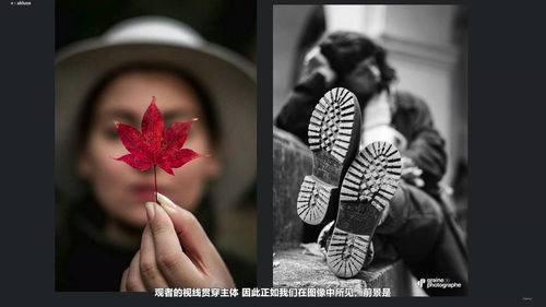 摄影入门课：从零开始学会拍照 (英文课程中文字幕)