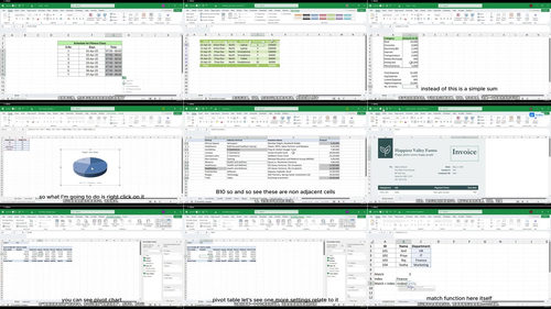 Excel 从入门到精通:实战项目全攻略 (英文课程中文字幕)