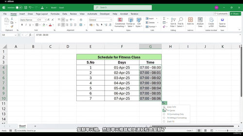 Excel 从入门到精通：实战项目全攻略 (英文课程中文字幕)