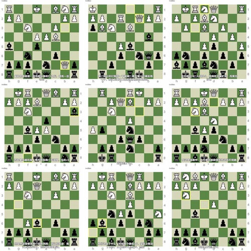 尚克兰教你卡罗康防御:从支线到主线的完整武器库 (英文课程中文字幕)