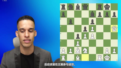 [中文配音]先发制人：国际象棋初学者的战斗性石墙进攻指南