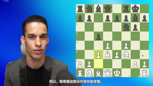 [中文配音]先发制人：国际象棋初学者的战斗性石墙进攻指南
