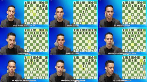 [中文配音]先发制人：国际象棋初学者的战斗性石墙进攻指南
