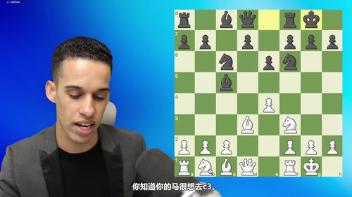 [中文配音]先发制人：国际象棋初学者的战斗性石墙进攻指南