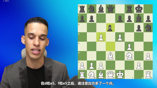 [中文配音]先发制人：国际象棋初学者的战斗性石墙进攻指南