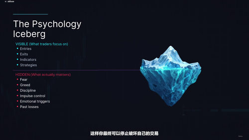 交易心理学精通：从情绪失控到稳定盈利的蜕变之路 (英文课程中文字幕)