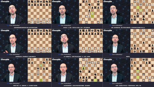 国际象棋棋子觉醒的艺术 (英文课程中文字幕)