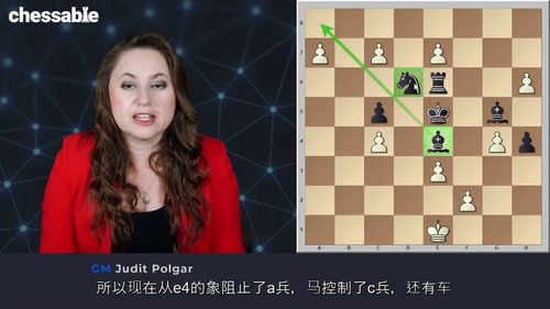 [中字] 波尔加精讲国际象棋残局（第三部分）（中文字幕英文视
