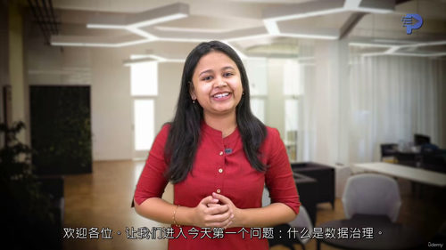 [中字] 数据治理：框架、合规与质量（中文字幕英文视频教程）