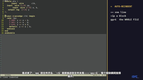 芯片工程师编辑器实战课：让文本编辑效率起飞 (英文课程中文字幕)