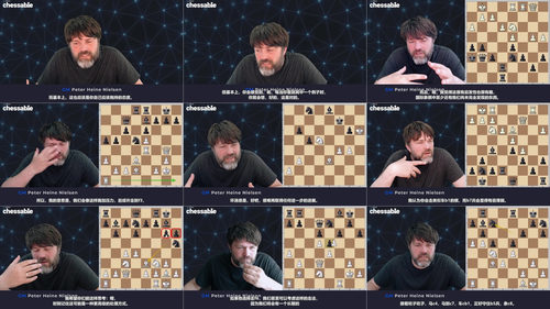 [中文配音]国际象棋局面弈法进阶课程：GM Peter Heine Nielsen 实战技巧指南