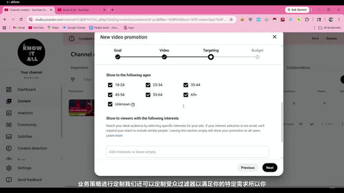 数字营销入门实战课 (英文课程中文字幕)