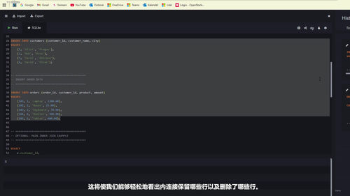 零基础数据库查询：人工智能辅助快速上手 (英文课程中文字幕)