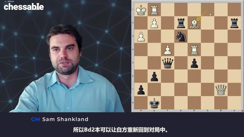 [中文配音]尚克兰德国际象棋计算训练教程