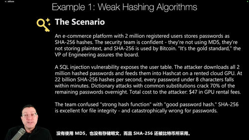 Python Web安全实战:从OWASP漏洞剖析到AI智能体代码审计 (英文课程中文字幕)