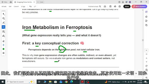 科研级基因表达引物设计实战教程 (英文视频中文外挂字幕教程)