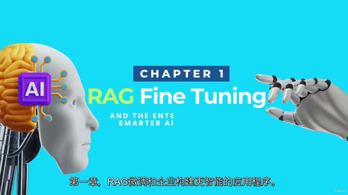 [中字] 检索增强生成（RAG）与微调技术（中文字幕英文视频