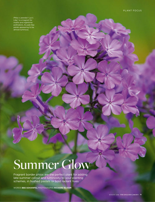 英国花园 2024年8月刊 (英文期刊)