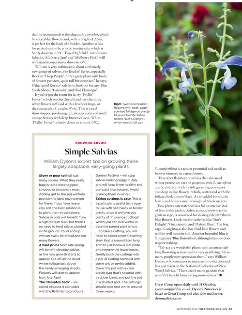 英国花园杂志 2026年9月刊 (英文期刊)