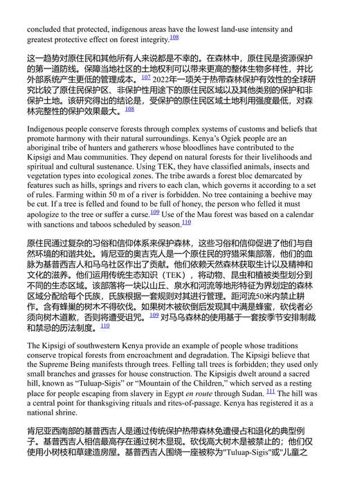 非洲农民在互联时代的繁荣 康斯坦斯·伊丽莎白·亨特 (中英对照电子书)