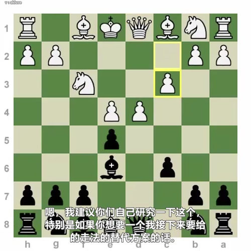 [中文配音]卡罗康防御系统教程：尚克兰带你从容执黑