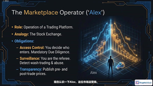 加密与金融科技企业管理者欧盟MiCA合规实战教程 (英文课程中文字幕)